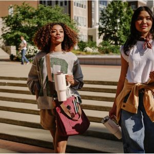 STANLEY Quencher ProTour Flip Straw Tumbler with Leakproof Lid | Built-In Straw & Handle | Cupholder Compatible for Travel | Insulated Stainless Steel Cup | BPA-Free