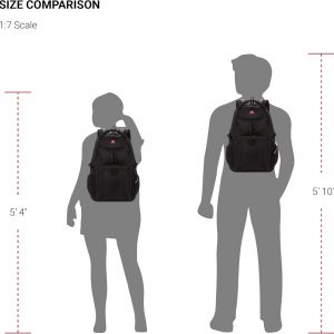 SwissGear 1900 Scansmart Mini/Slim Version, Fits Most 13 Inch Laptops and Tablets, TSA Friendly Backpack, Black