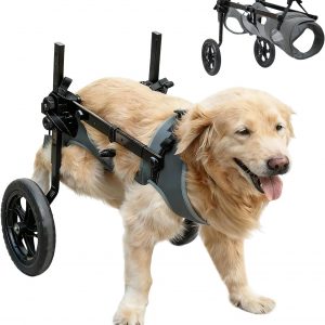 Dog Wheelchair for Back Legs, Light Weight Dog Wheelchair Cart with Disabled Hind Legs Walking, Adjustable
