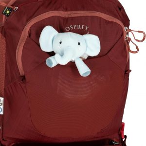 Osprey Poco LT Lightweight Child Carrier Backpack - Compact, Travel-Ready Kid Carrier with Sunshade and Adjustable Fit - Lightweight, Comfortable Hiking Carrier for Toddlers