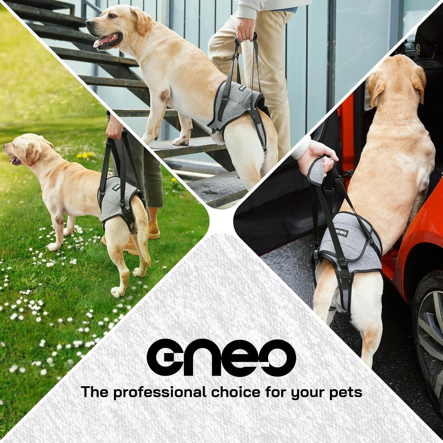 Arnés de elevación Cneo para perros, cabestrillo para perros medianos y grandes, arnés ajustable para perros para patas traseras, arnés para mascotas con diseño cómodo y acolchado para perros ancianos