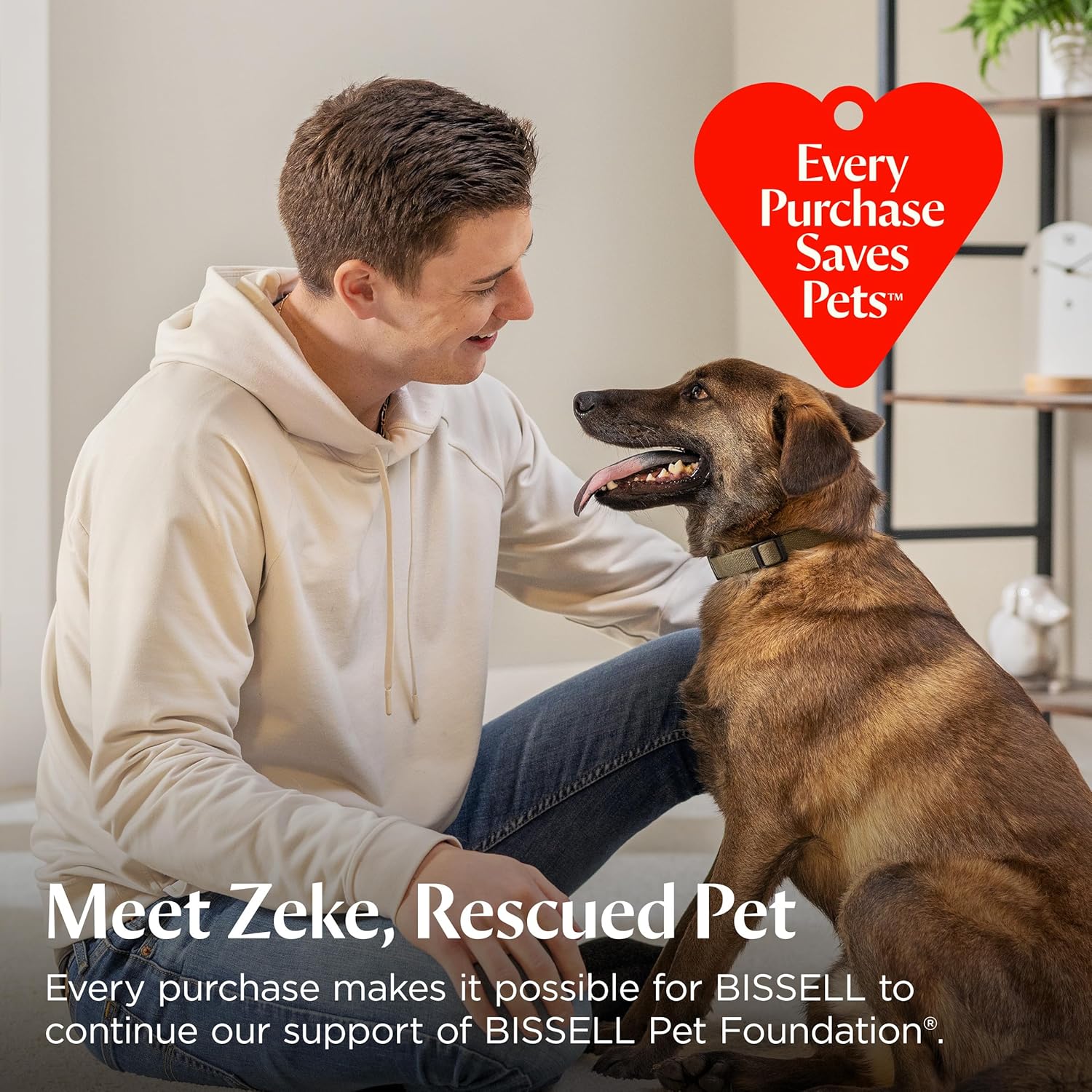 BISSELL Little Green - Limpiador portátil multiusos de alfombras y tapicería, 1400B