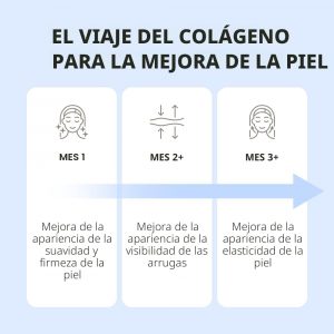 Péptidos de Colágeno Marino - Polvo de Colágeno Ultrafino Hidrolizado para Mujeres y Hombres, Ácido Hialurónico, Biotina, Vitamina C, para Piel, Cabello, Uñas, Articulaciones, Sin OGM, Sin