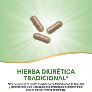 🌿 Diente de León Raíz (Dandelion) (Depuración profunda · Hígado · Digestión y líquidos) 📦 Contenido: 100 cápsulas ⭐ Suplemento herbal a base de raíz de diente de león, ideal para apoyar la función hepática, la digestión y la eliminación de líquidos de forma natural.