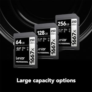 Lexar 128GB (2-Pack) Professional 1667x SD Card, UHS-II, C10, U3, V60, Full HD, 4K, Up To 250MB/s Read SDXC Memory Card, for Professional Photographer, Videographer, Enthusiast (LSD128CBNA16672)