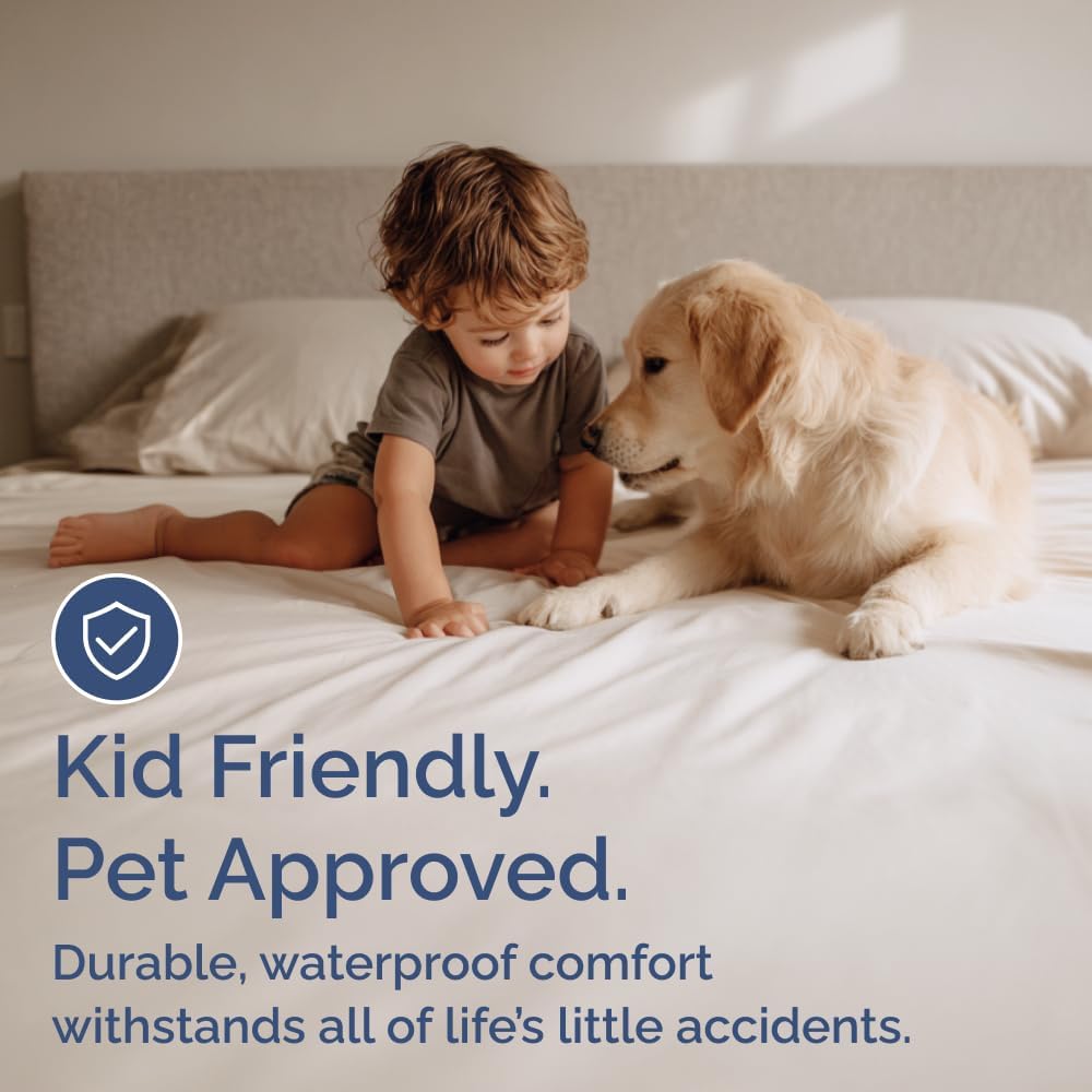 Queen Mattress Protector Waterproof - Mattress Cover Queen Size Bed - Bed Protector Waterproof - Absorbent Fitted Sheet up to 16" Deep Pockets - Soft, Breathable, Cooling, Noiseless - Machine Washable