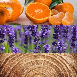 Calvin Klein Obsession for Men Eau de Toilette - Ambery Colonia para hombre - Con notas de bergamota, mandarina, lavanda y almizcle - Fragancia de larga duración