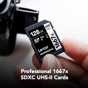 Lexar 128GB (2-Pack) Professional 1667x SD Card, UHS-II, C10, U3, V60, Full HD, 4K, Up To 250MB/s Read SDXC Memory Card, for Professional Photographer, Videographer, Enthusiast (LSD128CBNA16672)