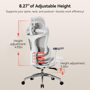 SIHOO Doro C300 Ergonomic Office Chair with Ultra Soft 3D Armrests, Dynamic Lumbar Support for Home Office Chair, Adjustable Backrest Desk Chair, Swivel Big and Tall Computer Chair (Grey)