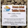 Aquatic Foods Inc. Cubitos de gusano Tubifex liofilizados. Gusanos 100% Tubifex para todos los peces tropicales, peces marinos, terrestres y tortugas acuáticas. Alimentos de pescado tropicales