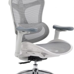 SIHOO Doro C300 Ergonomic Office Chair with Ultra Soft 3D Armrests, Dynamic Lumbar Support for Home Office Chair, Adjustable Backrest Desk Chair, Swivel Big and Tall Computer Chair (Grey)