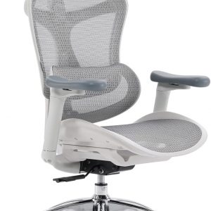 SIHOO Doro C300 Ergonomic Office Chair with Ultra Soft 3D Armrests, Dynamic Lumbar Support for Home Office Chair, Adjustable Backrest Desk Chair, Swivel Big and Tall Computer Chair (Grey)