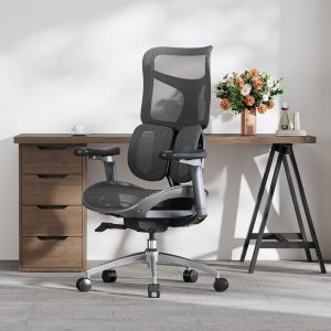 SIHOO Doro S100 Silla de oficina ergonómica - Soporte lumbar dinámico dual, apoyabrazos coordinados 4D, respaldo ajustable en 5 niveles, ángulo de reclinación máximo de 135 grados. Adecuada para