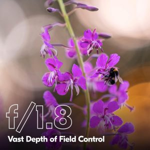 Nikon NIKKOR Z 135mm f/1.8 S Plena Lente | Telefoto para cámaras sin espejo de la serie Z | Modelo Nikon USA