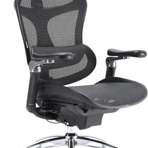 SIHOO Doro C300 Pro - Silla ergonómica de oficina con apoyabrazos ultrasuaves de 6D, soporte lumbar dinámico, ajuste de profundidad del asiento, respaldo ajustable, silla de escritorio grande y alta