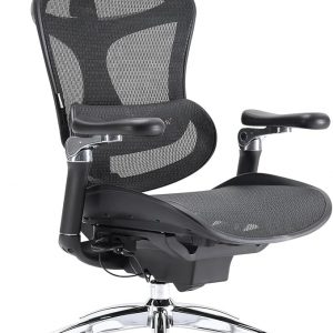 SIHOO Doro C300 Pro - Silla ergonómica de oficina con apoyabrazos ultrasuaves de 6D, soporte lumbar dinámico, ajuste de profundidad del asiento, respaldo ajustable, silla de escritorio grande y alta