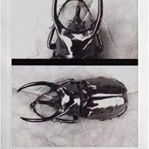 Instax mini EVO Cámara de Fotos e Impresora 2 en 1 con Pantalla LCD de 2.7 pulgadas, 10 Efectos de Lente y 10 Efectos de Película, Formato de Película Mini, Negro