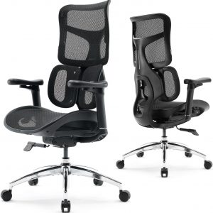 SIHOO Doro S100 Silla de oficina ergonómica - Soporte lumbar dinámico dual, apoyabrazos coordinados 4D, respaldo ajustable en 5 niveles, ángulo de reclinación máximo de 135 grados. Adecuada para