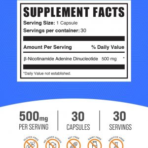 BulkSupplements.com NAD Capsules - Nicotinamide Adenine Dinucleotide, NAD Supplement 500mg - for Energy Support, Pure & Gluten Free, 1 Capsule per Serving, 30 Capsules (Pack of 1)
