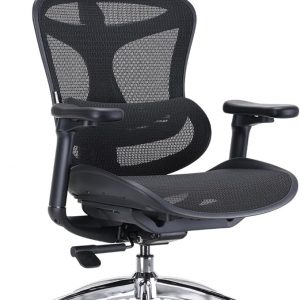 SIHOO Doro C300 Ergonomic Office Chair with Ultra Soft 3D Armrests, Dynamic Lumbar Support for Home Office Chair, Adjustable Backrest Desk Chair, Swivel Big and Tall Computer Chair Black