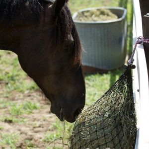 Hay Chix Red de heno para caballos | Alimentador de bolsas de heno de alimentación lenta | Nylon tratado UV de grado marino | Capacidad para 4-6 copos | Red de media paca | Agujeros de 1 3/4 pulgadas