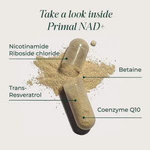 Primal Harvest Suplemento NAD+: ribósido de nicotinamida, trans-resveratrol, betaína, CoQ10, suplementos NAD para salud celular, energía y apoyo mitocondrial (60 unidades (paquete de 1)