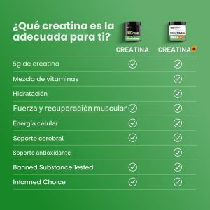 Optimum Nutrition Monohidrato de creatina micronizada en polvo, sin sabor, 120 porciones, 21.16 oz (el embalaje puede variar) (paquete de 2)
