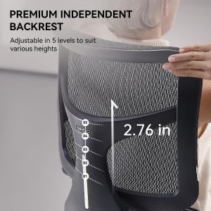 SIHOO Doro S100 Silla de oficina ergonómica - Soporte lumbar dinámico dual, apoyabrazos coordinados 4D, respaldo ajustable en 5 niveles, ángulo de reclinación máximo de 135 grados. Adecuada para