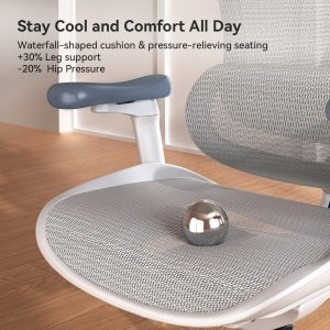 SIHOO Doro C300 Ergonomic Office Chair with Ultra Soft 3D Armrests, Dynamic Lumbar Support for Home Office Chair, Adjustable Backrest Desk Chair, Swivel Big and Tall Computer Chair (Grey)