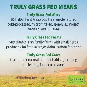 Garden of Life Sport Grass Fed Whey Protein Powder - 0.85 oz aislado de proteína de suero para mujeres y hombres con probióticos y glutamina, sin OMG, sin gluten, procesado en frío, sabor a vainilla