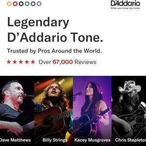 D'Addario Guitar Strings - Phosphor Bronze Acoustic Guitar Strings - EJ16-3D - Rich, Full Tonal Spectrum - For 6 String Guitars - 12-53 Light, 3-Pack