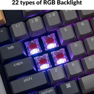 Keychron C2 Pro Wired Custom Mechanical Keyboard Full Size Layout QMK/VIA Programmable Macro RGB Backlit with Hot-Swappable Keychron K Pro Red Switch OEM Profile PBT Keycaps for Mac Windows Linux