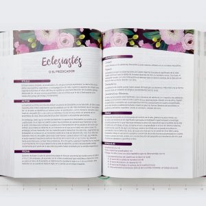 RVR60 Biblia de estudio para la mujer, Tapa dura, Interior a color, Comfort Print: Verdad, esperanza y transformación para el corazón (Spanish Edition)