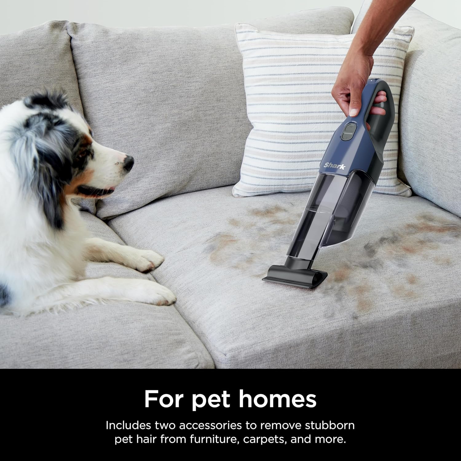 Shark Cyclone PET Handheld Vacuum with 8" Crevice Tool, HyperVelocity Suction, Navy Blue/Grey, CH701