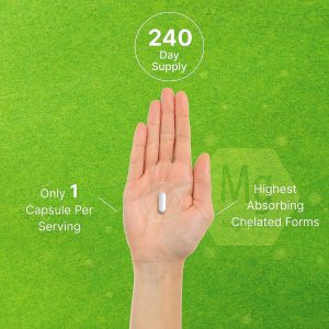 Complejo de magnesio de 500 mg, 480 cápsulas vegetarianas, paquete de 2, glicinato, citrato, malato, óxido y más 100% quelado para una fácil absorción, suplemento mineral esencial, sin OMG