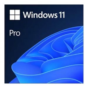 Licencia de Windows 11 Profesional 64 Bits, Multi-lenguaje - Licencia Digital