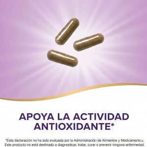 🌿 Hoja de Olivo – 100 cápsulas ✨ Fuente rica de oleuropeína para apoyar la salud del corazón y bienestar general.