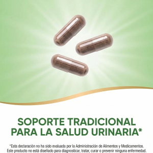 🌽 Seda de Maíz (Corn Silk) | “Pelos de Elote” | 100 cápsulas (Riñones · Diurético natural · Sistema urinario) 📦 Contenido: 100 cápsulas ⭐ Diurético natural conocido en Guatemala como “pelos de elote”, ideal para apoyar la salud renal, reducir la retención de líquidos y cuidar el sistema urinario.