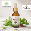 🌿 Aceite Esencial de Albahaca D’natura® | 30 ml (Relajación · Concentración · Digestión · Aromaterapia)