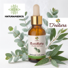 🌿 Aceite Esencial de Eucalipto D’natura® | 30 ml (Respiración · Frescura · Claridad Mental · Aromaterapia)