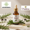 🌿 Aceite Esencial de Romero D’natura® | 30 ml (Concentración · Circulación · Cabello · Bienestar Muscular) ⭐ Aceite esencial natural de romero reconocido por su aroma herbal y revitalizante. Tradicionalmente utilizado para favorecer la concentración, estimular la circulación y apoyar el bienestar capilar y muscular