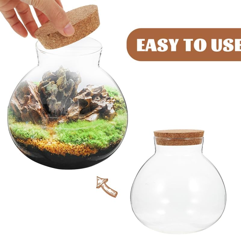 Healeved 2 tarros redondos de vidrio para terrario, bola para suculentas, brotes de terrario, floreros, tarro de dulces de Pascua, botella de deseos con tapa de corcho para plantas, 5.9 in x 16