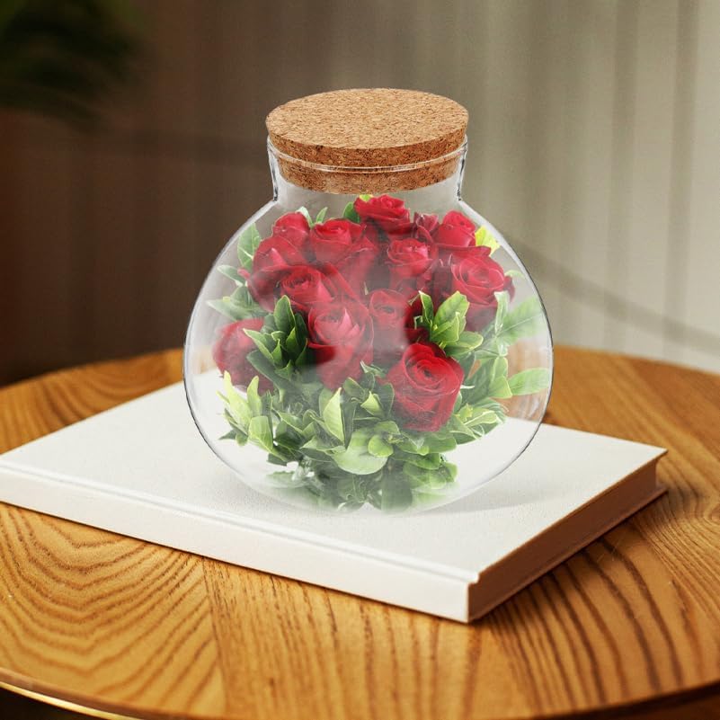 Healeved 2 tarros redondos de vidrio para terrario, bola para suculentas, brotes de terrario, floreros, tarro de dulces de Pascua, botella de deseos con tapa de corcho para plantas, 5.9 in x 16