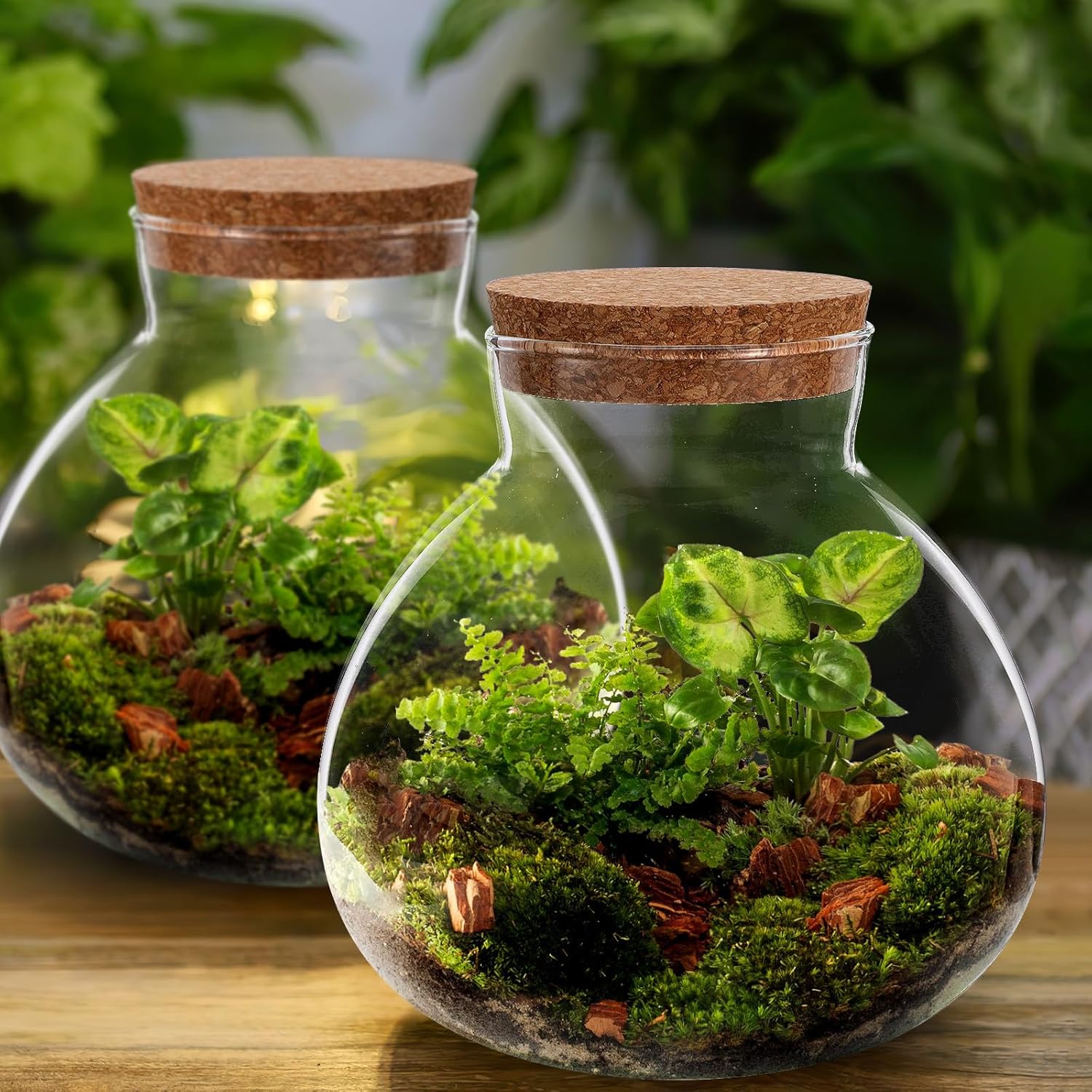 NUOBESTY Tarro de terrario de vidrio con tapa de corcho, terrario cerrado de 6 x 6.3 pulgadas para musgo y helecho suculentos, jardín de escritorio en miniatura para decoración del hogar y la oficina
