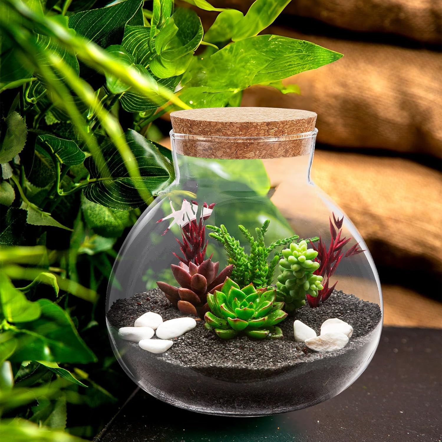 NUOBESTY Tarro de terrario de vidrio con tapa de corcho, terrario cerrado de 6 x 6.3 pulgadas para musgo y helecho suculentos, jardín de escritorio en miniatura para decoración del hogar y la oficina