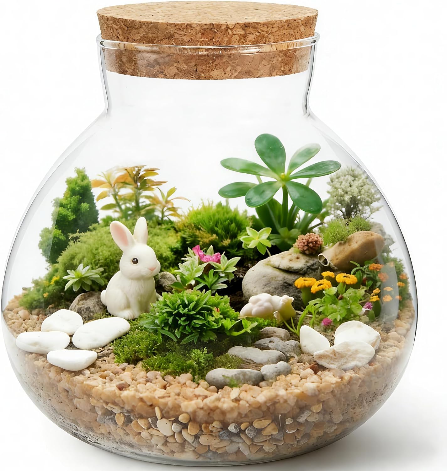 NUOBESTY Tarro de terrario de vidrio con tapa de corcho, terrario cerrado de 6 x 6.3 pulgadas para musgo y helecho suculentos, jardín de escritorio en miniatura para decoración del hogar y la oficina