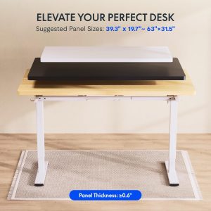 FLEXISPOT EN1 Marco de Escritorio de Pie Ajustable en Altura con Controlador de Memoria, Base de Escritorio Eléctrica de Sentarse y Pararse para Hogar y Oficina (Solo Marco Blanco)