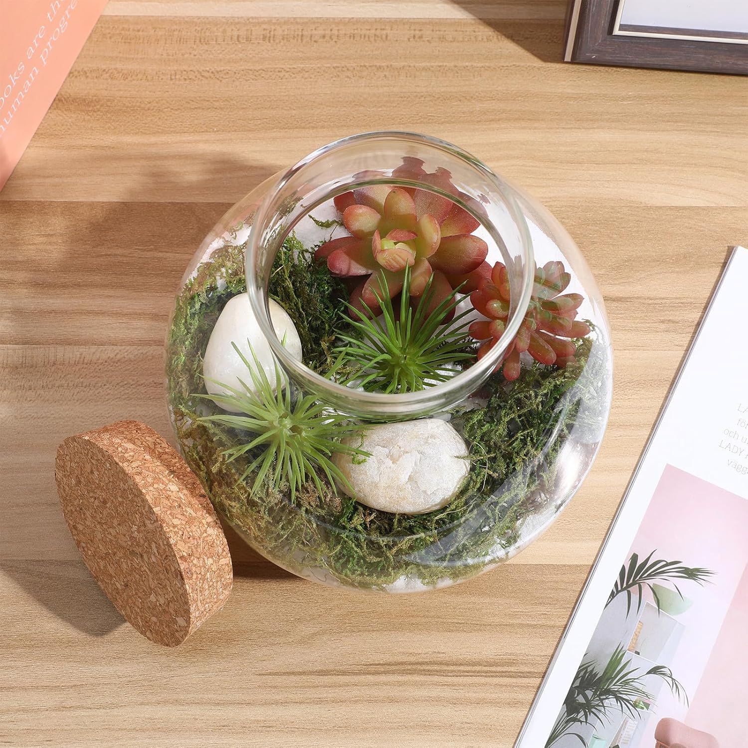NUOBESTY Tarro de terrario de vidrio con tapa de corcho, terrario cerrado de 6 x 6.3 pulgadas para musgo y helecho suculentos, jardín de escritorio en miniatura para decoración del hogar y la oficina