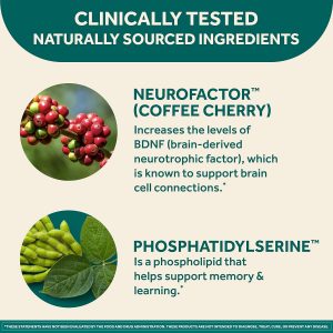 NEURIVA Suplemento cerebral original para memoria, enfoque y concentración, aprendizaje y precisión con nootrópicos clínicamente probados, fosfatidilserina y neurofactor, sin cafeína, cápsulas de 30 unidades
