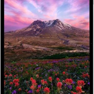 Apple iPad Pro 11-inch (M5): Ultra Retina XDR Display, 256GB, 12MP Front/Back Camera, LiDAR Scanner, Wi-Fi 7 with Apple N1 + 5G Cellular with C1X chip, Face ID, All-Day Battery Life — Space Black
